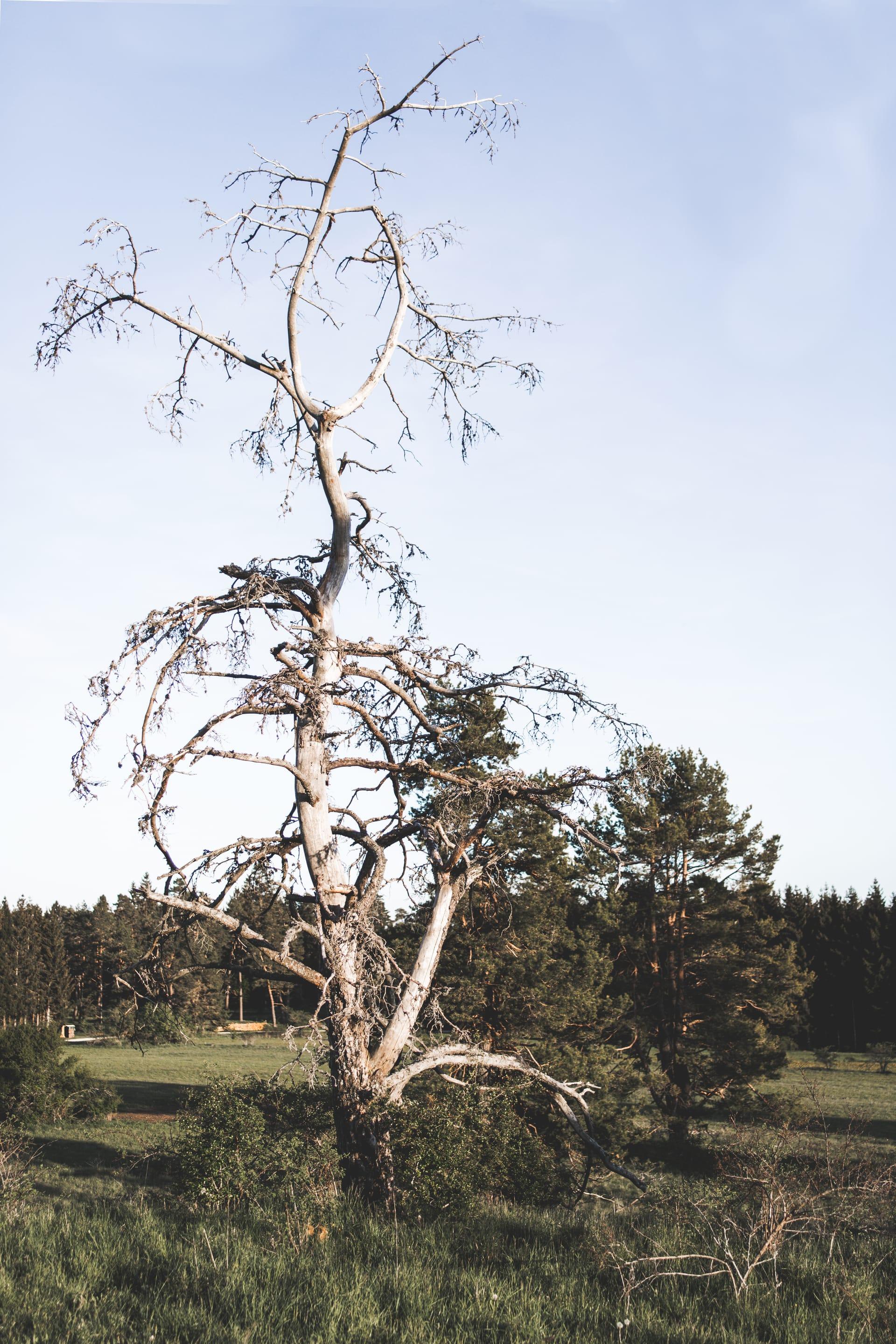 Traumasensibles Yoga 2