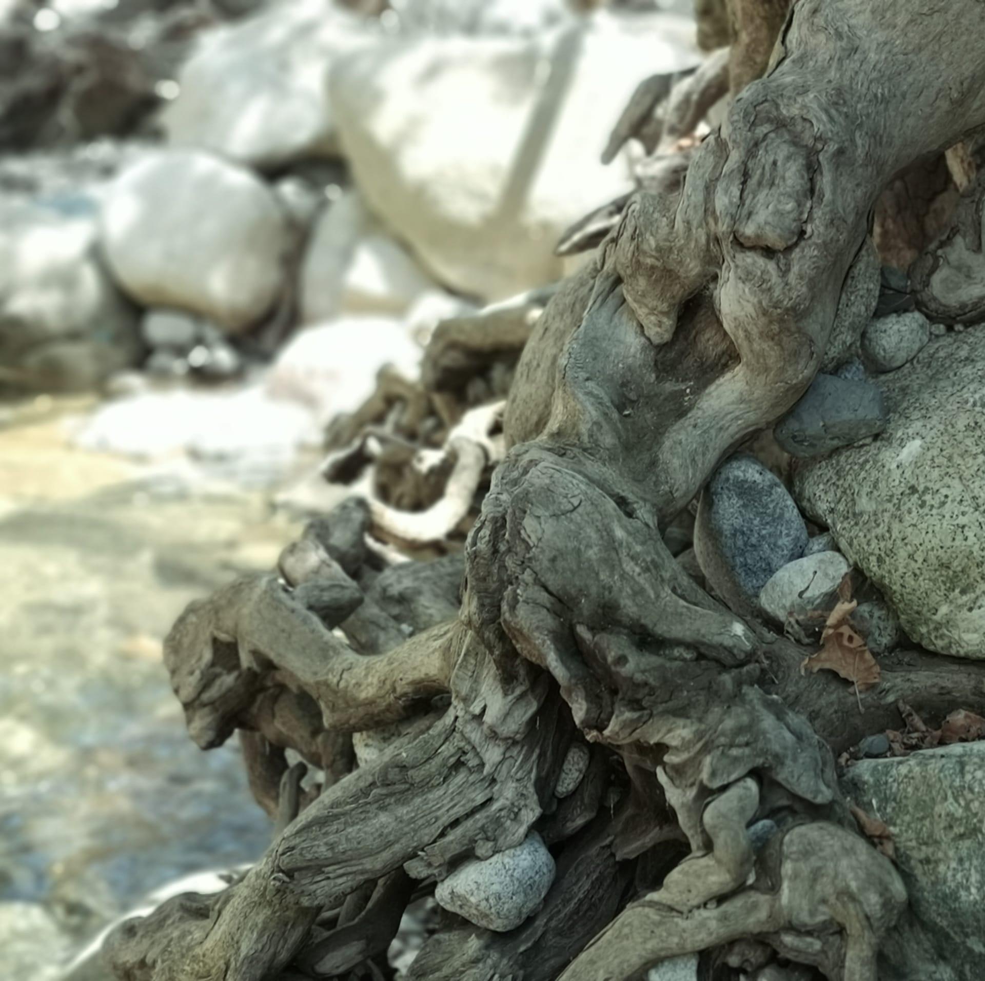 Traumasensibles Yoga 4